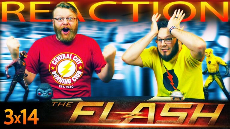 The Flash 3x14 Reaction