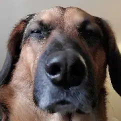 Profile picture of Nick G.