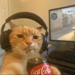 Profile picture of Salvar Aron