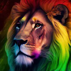 Profile picture of Daniel Murphy